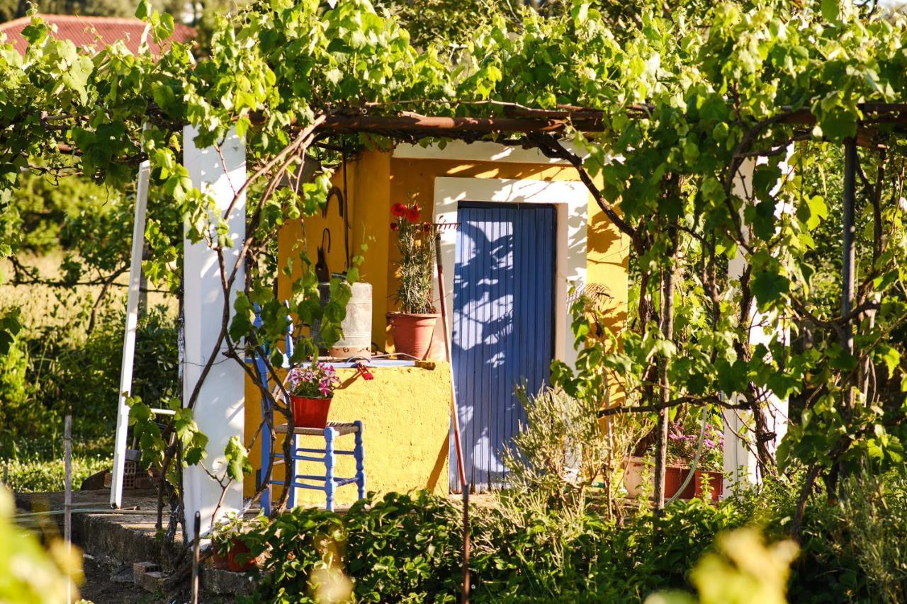 Villa Sandra Litheres Εξωτερικό φωτογραφία